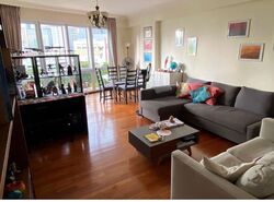 Sam Kiang Mansions (D9), Apartment #451919001